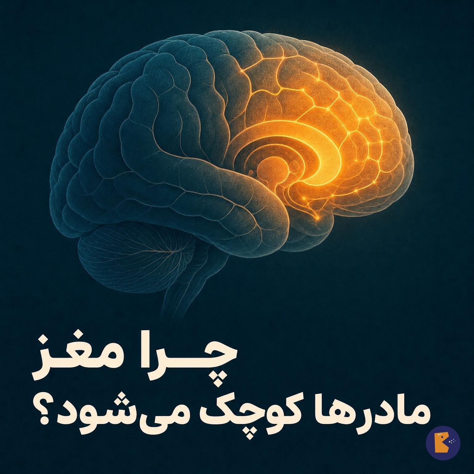 چرا مغز مادرها کوچک می‌شود؟