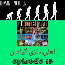 اهلی سازی گیاهان