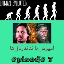 آمیزش با نیاندرتال ها